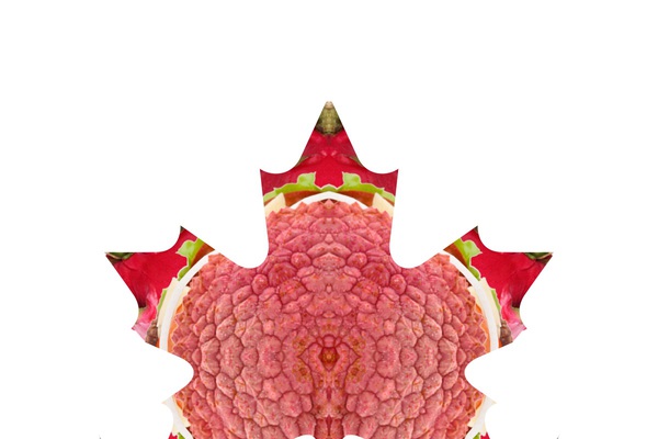 Lychee Leaf